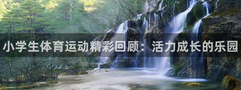 米兰体育官方正版app神州：小学生体育运动精彩回顾：