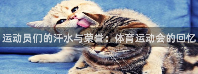 米兰体育官方正版app集团官网首页：运动员们的汗水与