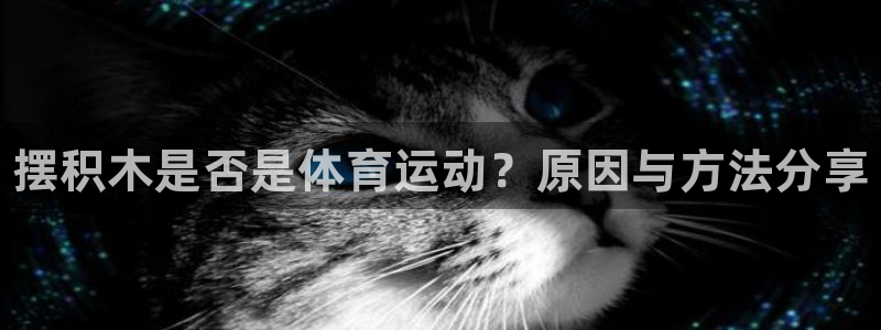 德国米兰体育官方正版app集团：摆积木是否是体育运动