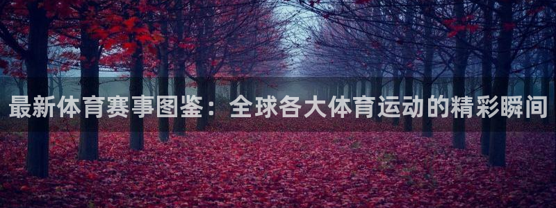 米兰体育官方正版app集团官网首页网址：最新体育赛事