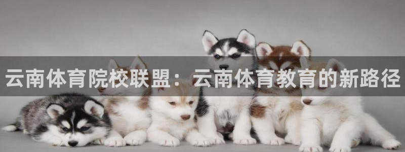 米兰体育官方正版app娱乐网站：云南体育院校联盟：云