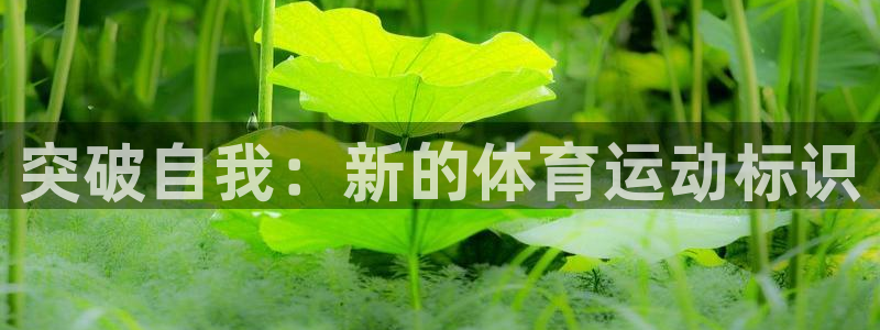米兰体育官网下载招商电话地址：突破自我：新的体育运动