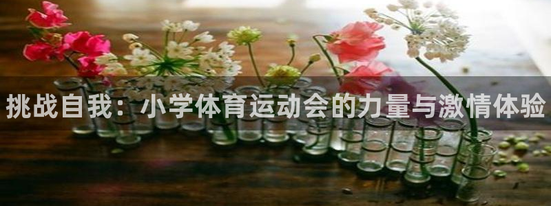 米兰体育官网下载软件：挑战自我：小学体育运动会的力量
