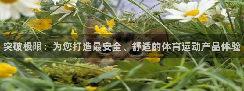 米兰体育官方正版app科技：突破极限：为您打造最安全