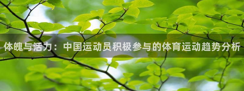 米兰体育官网下载平台是正规平台吗知乎：体魄与活力：中国运动员