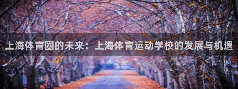 米兰体育官方正版app娱乐下载：上海体育圈的未来：上