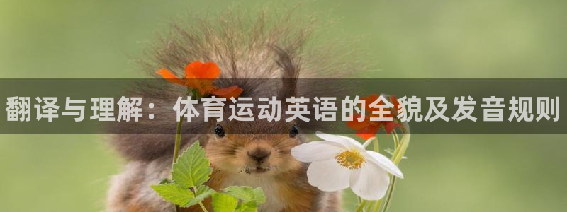 海南米兰体育官网下载