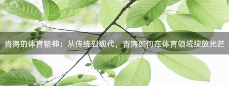 米兰体育官网下载招商电话号码查询是多少：青海的体育精