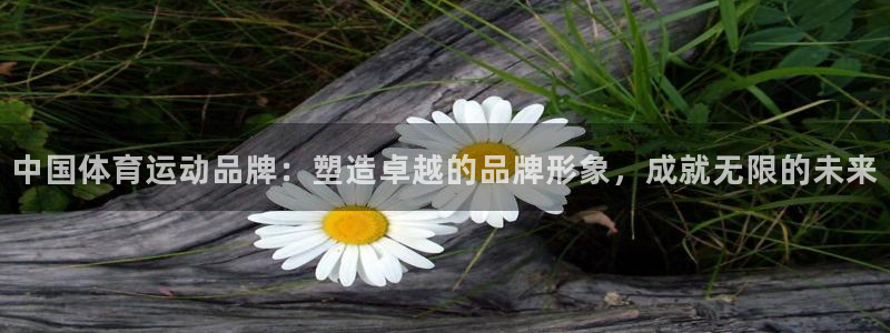 米兰体育官网下载开户：中国体育运动品牌：塑造卓越的品