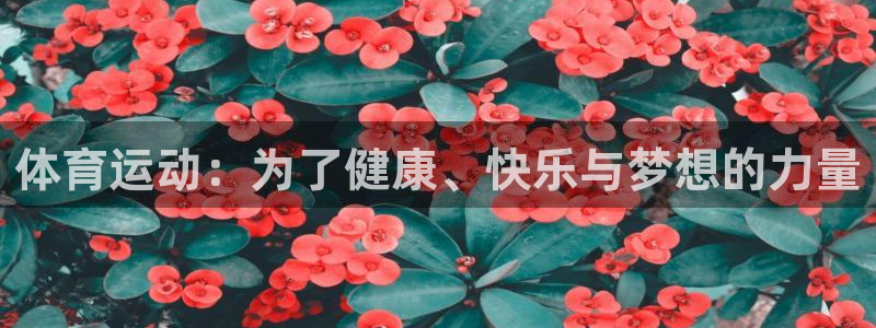 米兰体育官方正版app代理：体育运动：为了健康、快乐与梦想的