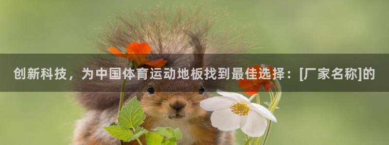 米兰体育官网下载娱乐：创新科技，为中国体育运动地板找