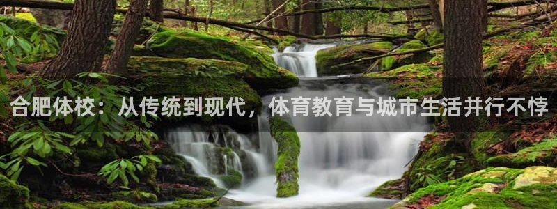 米兰体育官网下载平台注册流程视频：合肥体校：从传统到现代，体
