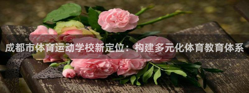 米兰体育官网下载软件：成都市体育运动学校新定位：构建