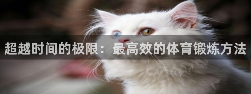 米兰体育官网下载招商：超越时间的极限：最高效的体育锻炼方法