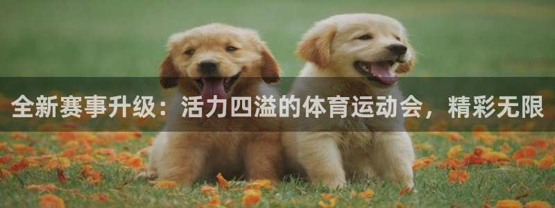 米兰体育官方正版app娱乐40996：全新赛事升级：活力四溢