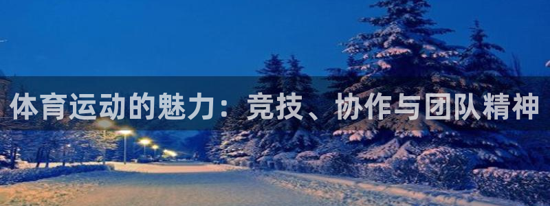 米兰体育官网下载软件